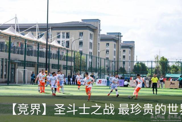 【竞界】圣斗士之战 最珍贵的世界杯藏品