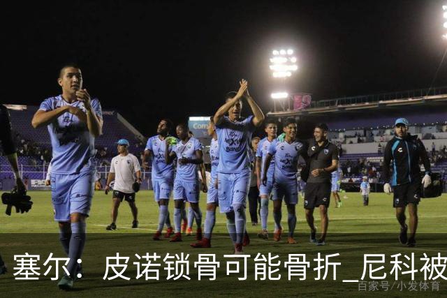 塞尔：皮诺锁骨可能骨折 尼科被铲伤可能提前结束世界杯之旅