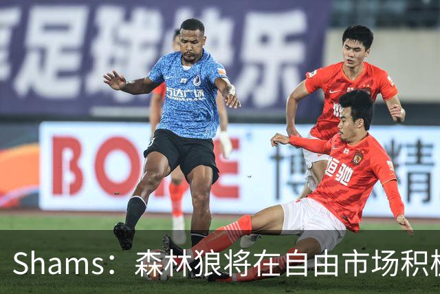 Shams：森林狼将在自由市场积极补强4号位 但他们只能提供底薪