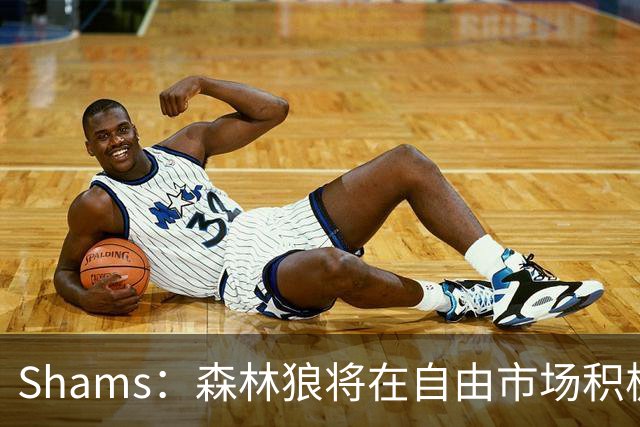Shams：森林狼将在自由市场积极补强4号位 但他们只能提供底薪